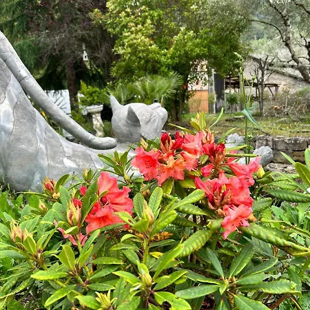 House Of Artist Apartament Isolabona